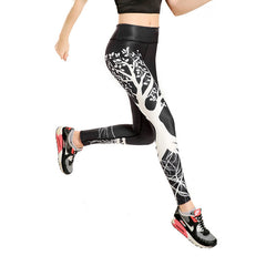 Yoga Fitness