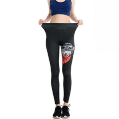 Kitty Leggins